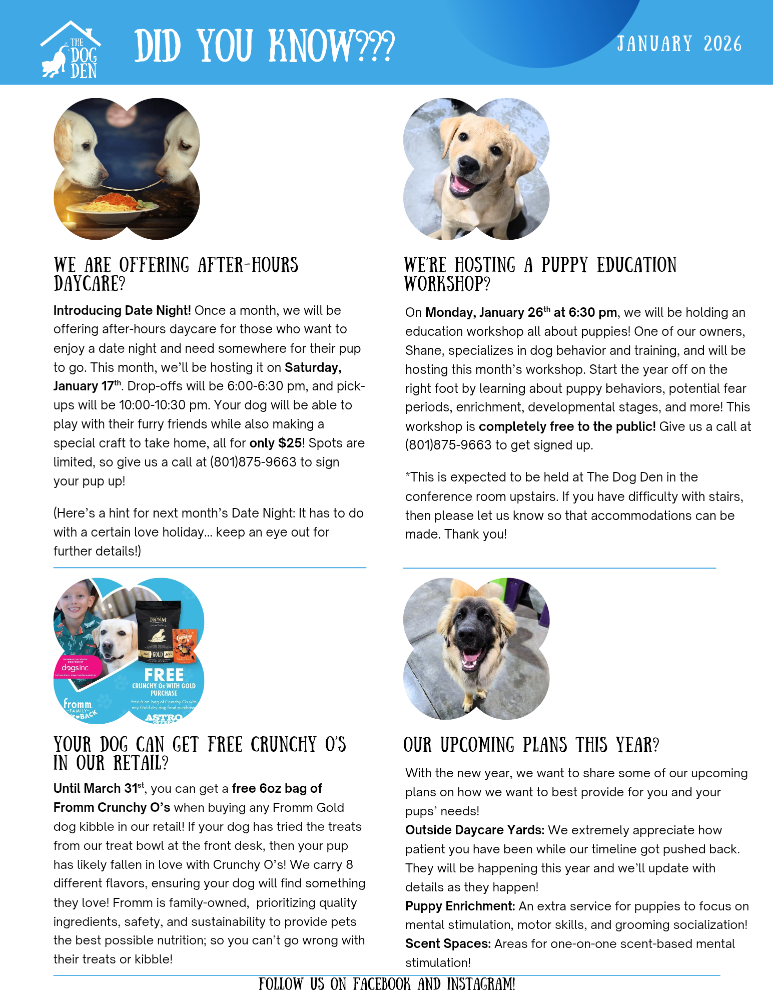 January 2026 Dog Den newsletter page 3: did you know, Date Night after-hours daycare, puppy education workshop, upcoming plans