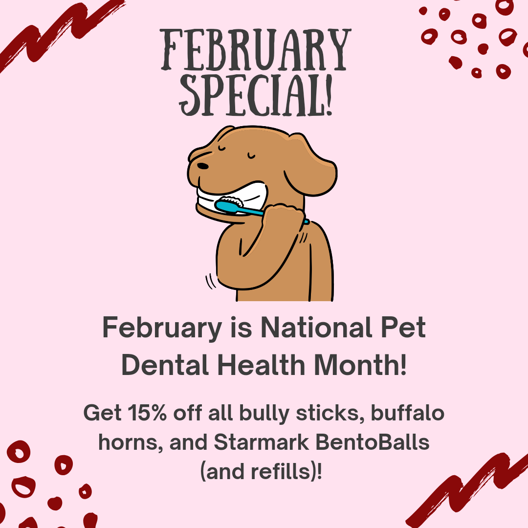Dog Den Utah February 2026 Dental Health Special - 15% Off Bully Sticks, Buffalo Horns & Raw Bar