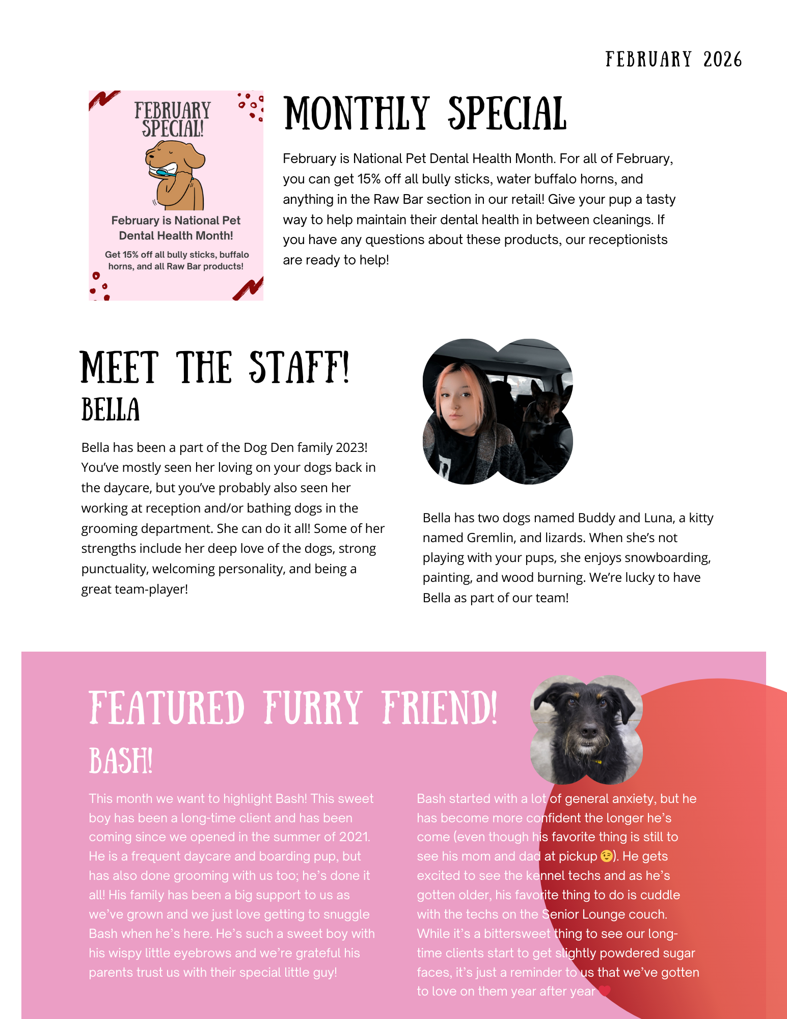 February 2026 Dog Den newsletter page 2: monthly special, meet the staff Bella, featured furry friend Bash