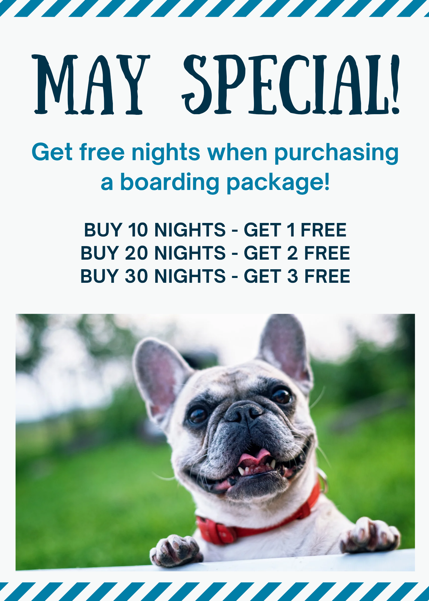Dog Den Utah May 2026 Special - Free Days with Daycare Packages